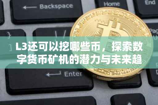 L3还可以挖哪些币，探索数字货币矿机的潜力与未来趋势