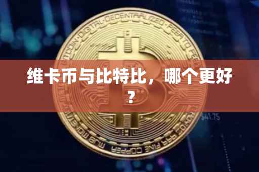 维卡币与比特比，哪个更好？