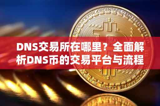 DNS交易所在哪里？全面解析DNS币的交易平台与流程