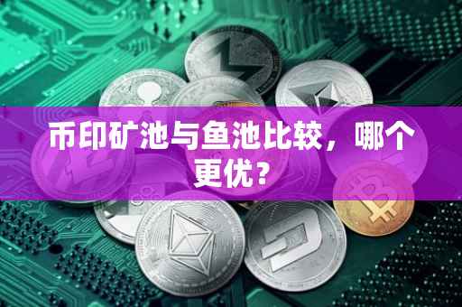 币印矿池与鱼池比较，哪个更优？