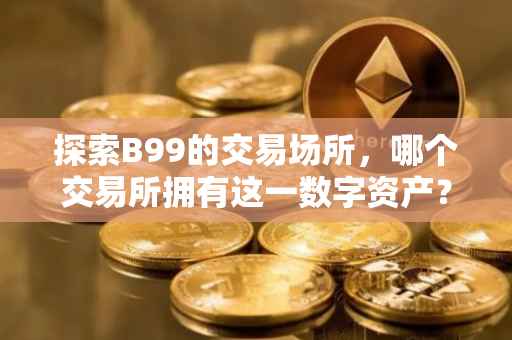 探索B99的交易场所，哪个交易所拥有这一数字资产？