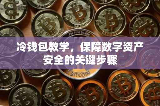 冷钱包教学，保障数字资产安全的关键步骤