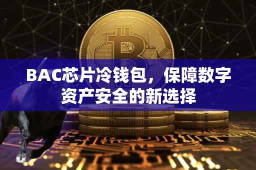 BAC芯片冷钱包，保障数字资产安全的新选择