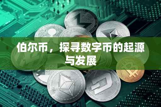 伯尔币，探寻数字币的起源与发展
