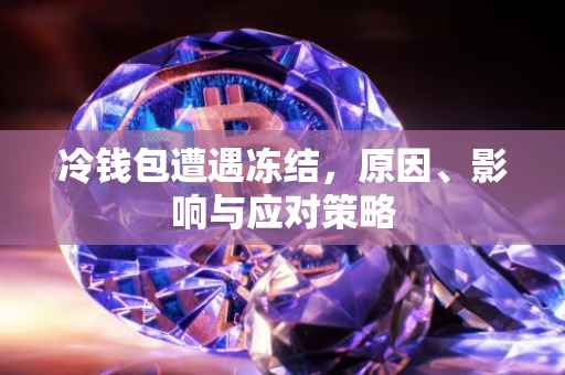 冷钱包遭遇冻结，原因、影响与应对策略