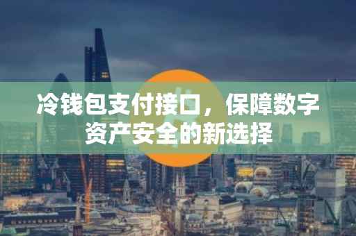 冷钱包支付接口，保障数字资产安全的新选择