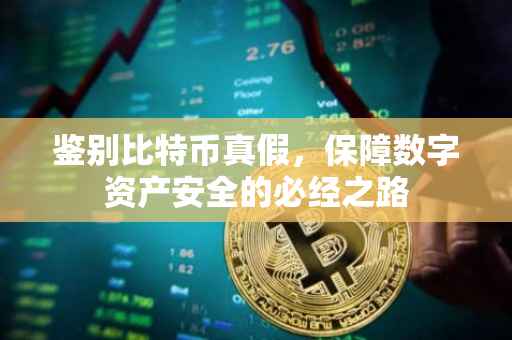 鉴别比特币真假，保障数字资产安全的必经之路