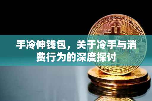 手冷伸钱包，关于冷手与消费行为的深度探讨