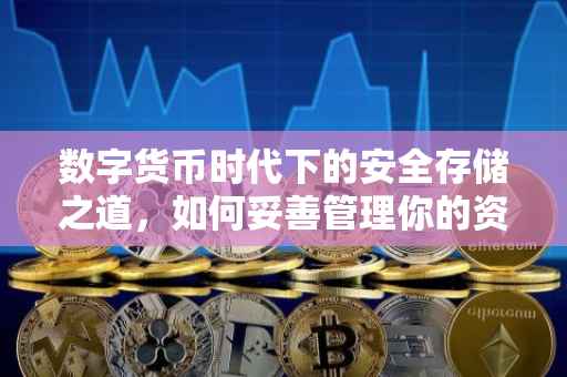 数字货币时代下的安全存储之道，如何妥善管理你的资产——探讨未置于冷钱包的利弊与策略