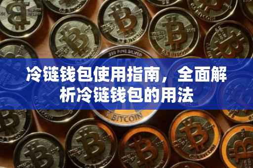 冷链钱包使用指南，全面解析冷链钱包的用法