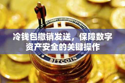 冷钱包撤销发送，保障数字资产安全的关键操作