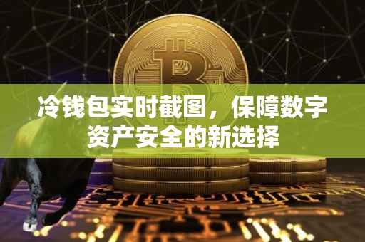 冷钱包实时截图，保障数字资产安全的新选择