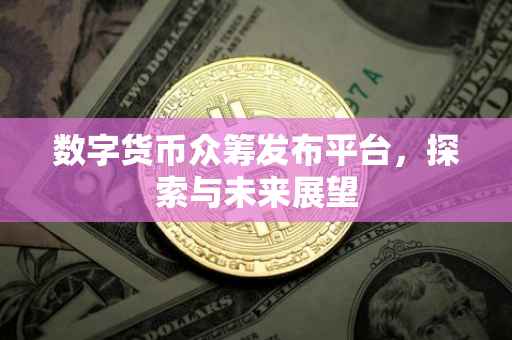 数字货币众筹发布平台，探索与未来展望