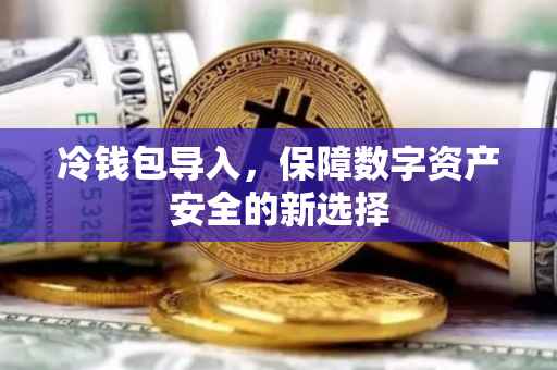 冷钱包导入，保障数字资产安全的新选择
