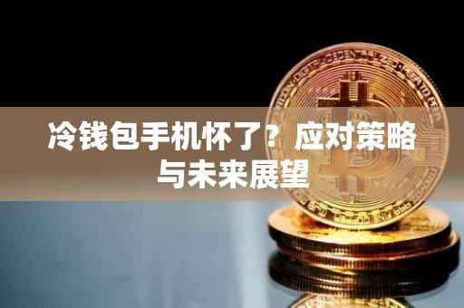 冷钱包手机怀了？应对策略与未来展望