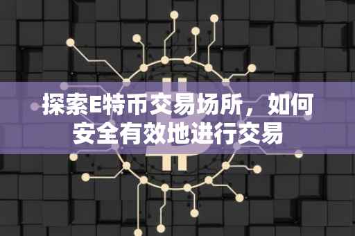 探索E特币交易场所，如何安全有效地进行交易