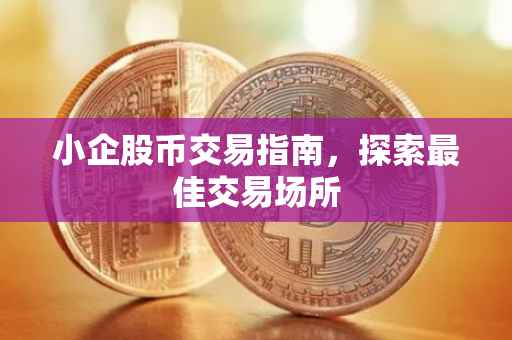 小企股币交易指南，探索最佳交易场所