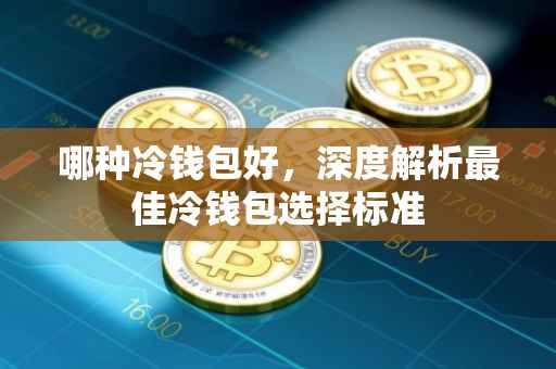 哪种冷钱包好，深度解析最佳冷钱包选择标准