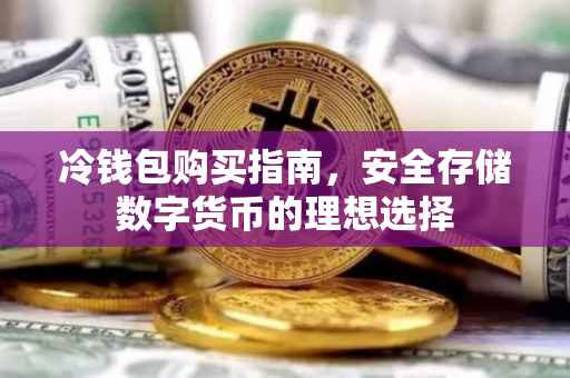 冷钱包购买指南，安全存储数字货币的理想选择