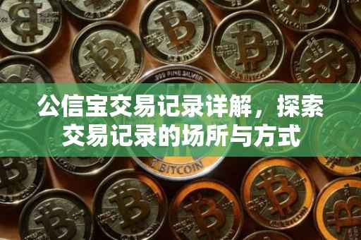 公信宝交易记录详解，探索交易记录的场所与方式