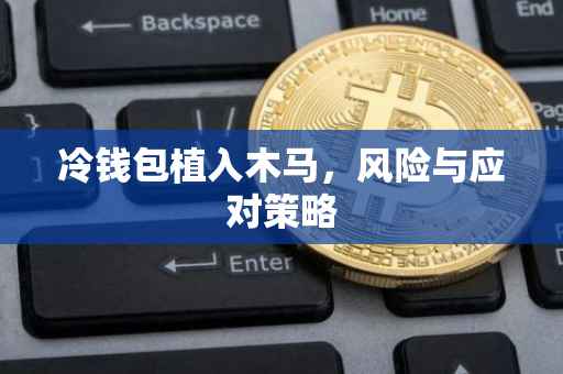 冷钱包植入木马，风险与应对策略
