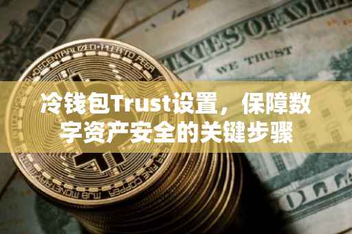 冷钱包Trust设置，保障数字资产安全的关键步骤