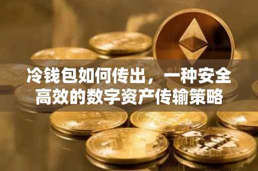 冷钱包如何传出，一种安全高效的数字资产传输策略