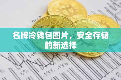 名牌冷钱包图片，安全存储的新选择