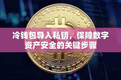 冷钱包导入私钥，保障数字资产安全的关键步骤