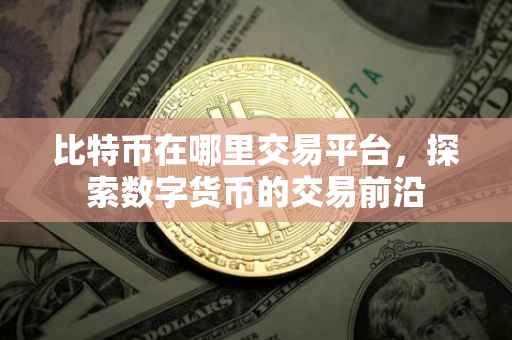 比特币在哪里交易平台，探索数字货币的交易前沿