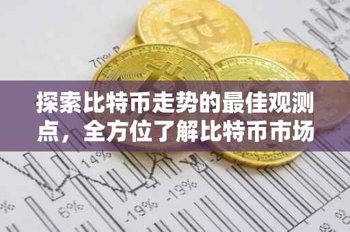 探索比特币走势的最佳观测点，全方位了解比特币市场动态