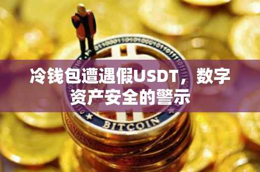 冷钱包遭遇假USDT，数字资产安全的警示