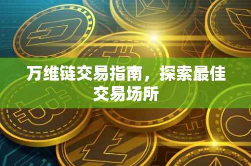 万维链交易指南，探索最佳交易场所
