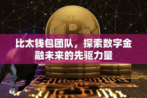 比太钱包团队，探索数字金融未来的先驱力量
