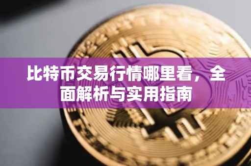 比特币交易行情哪里看，全面解析与实用指南