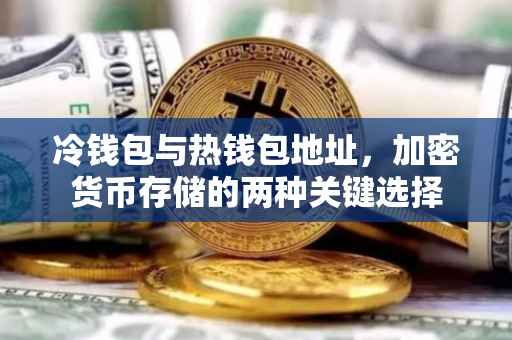 冷钱包与热钱包地址，加密货币存储的两种关键选择