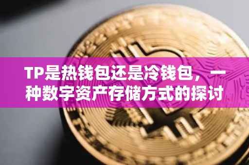 TP是热钱包还是冷钱包，一种数字资产存储方式的探讨