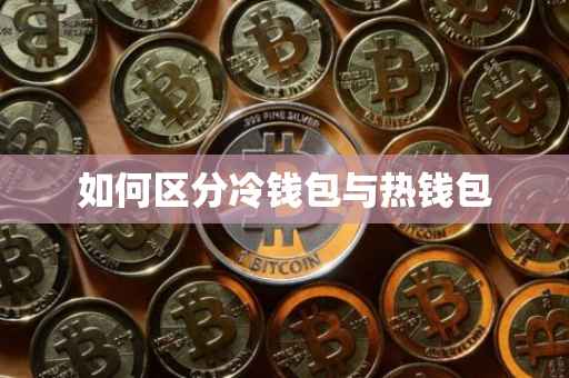 如何区分冷钱包与热钱包