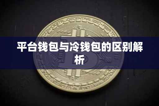 平台钱包与冷钱包的区别解析