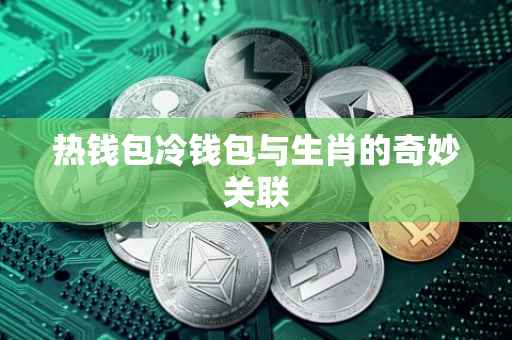 热钱包冷钱包与生肖的奇妙关联