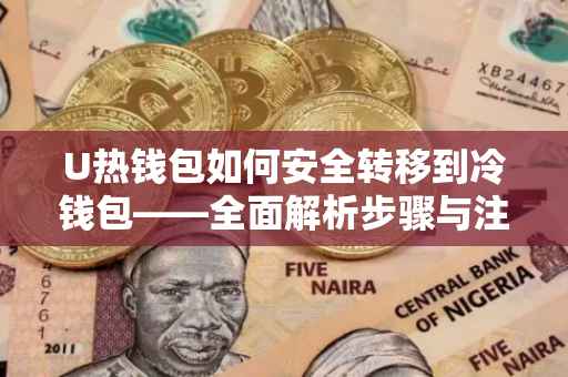 U热钱包如何安全转移到冷钱包——全面解析步骤与注意事项
