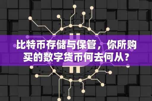 比特币存储与保管，你所购买的数字货币何去何从？