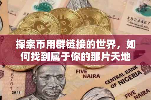 探索币用群链接的世界，如何找到属于你的那片天地