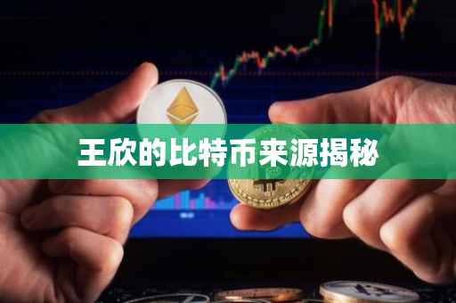 王欣的比特币来源揭秘