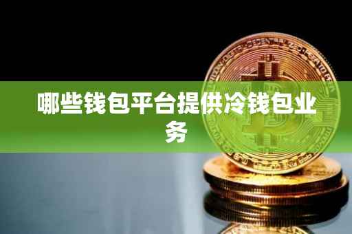 哪些钱包平台提供冷钱包业务