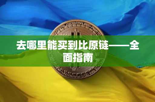 去哪里能买到比原链——全面指南