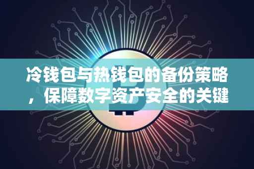 冷钱包与热钱包的备份策略，保障数字资产安全的关键步骤