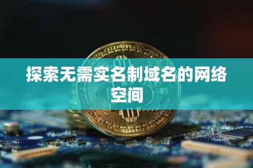 探索无需实名制域名的网络空间