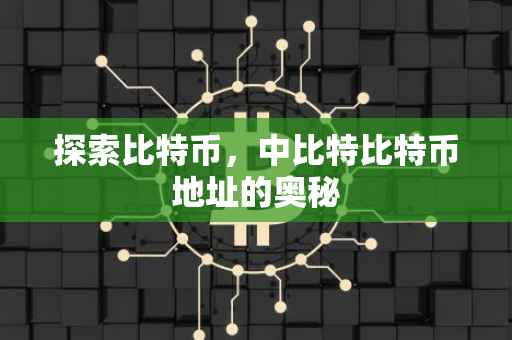 探索比特币，中比特比特币地址的奥秘