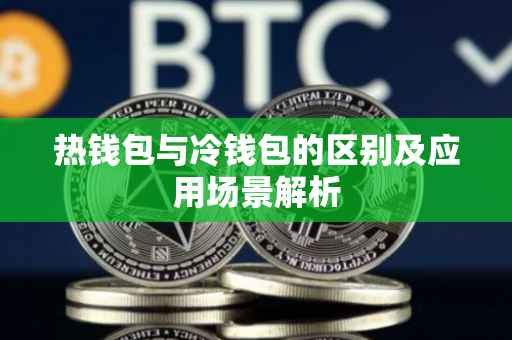 热钱包与冷钱包的区别及应用场景解析